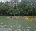 PIRAGUAS EN ARANJUEZ